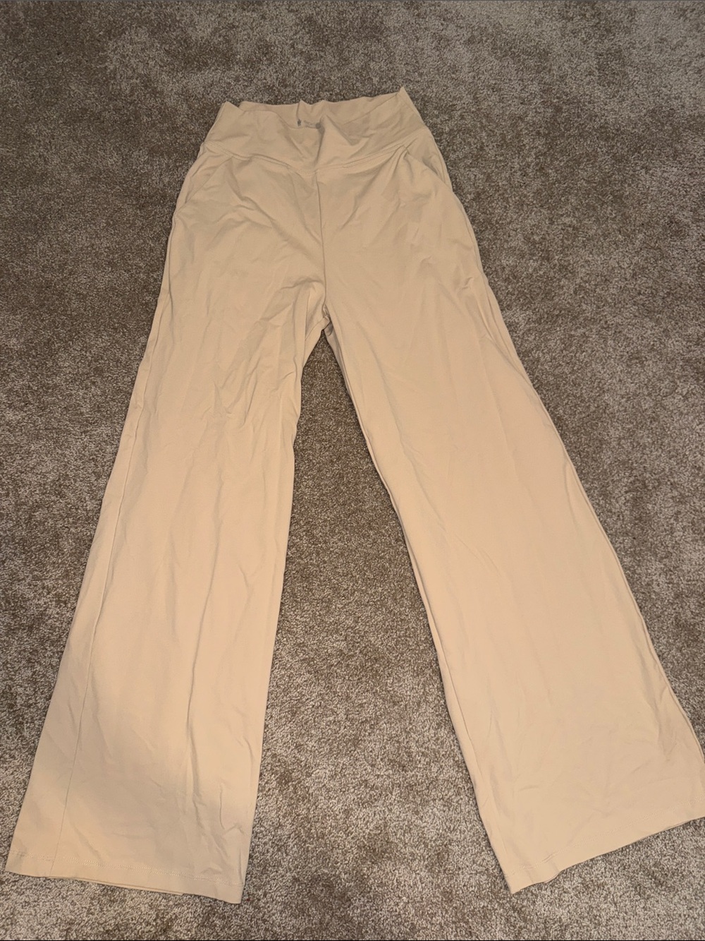 Kiragrace Sleek Wide-Leg High-Rise Pants in Light Beige - Medium